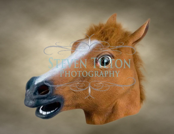 Photobooth Masks