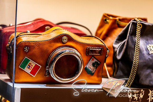 Camera Purse