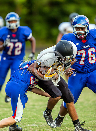 Apex @ Wake Forest JV Football