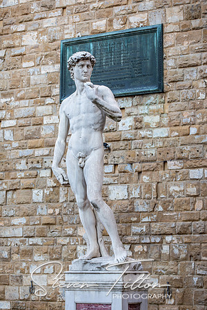 Replica Of Statue of David