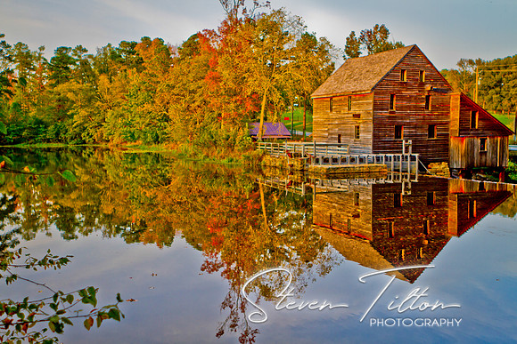 Autumn Reflections
