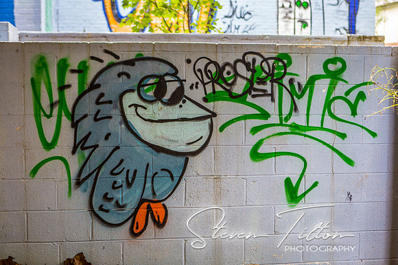 Abandoned Wake Forest Rolesville School