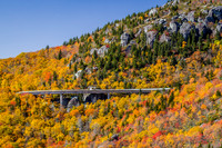 Mountain Foilage