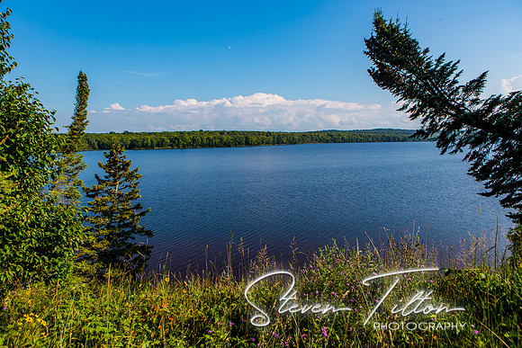 Log Slide Overlook