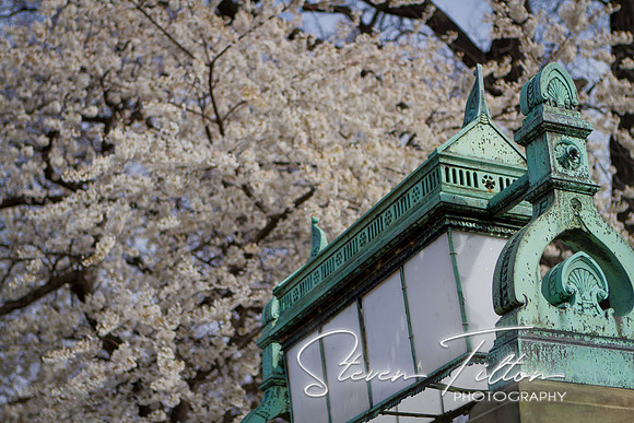 District of Columbia