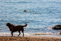 Lighthouse Point Park