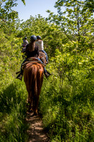 Horseback Riding