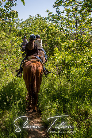 Horseback Riding