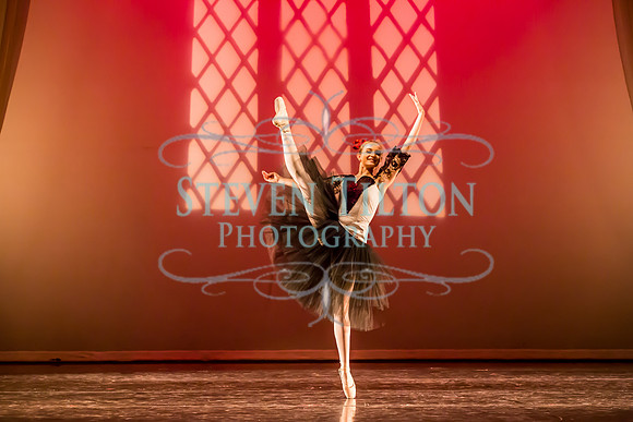Destiny Winter Gala 2013
