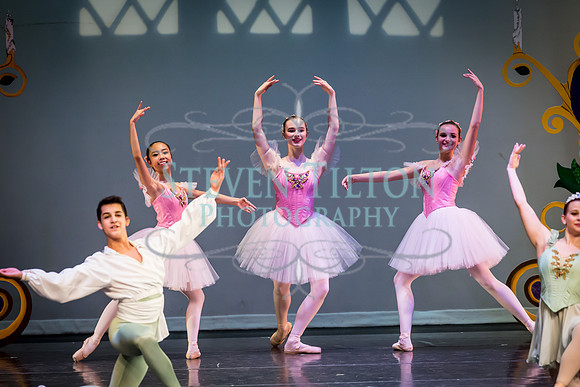 DDI Winter Gala III
