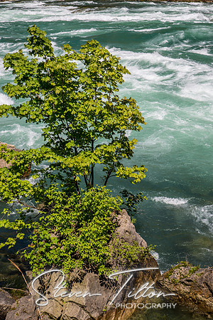 White Water Rapids