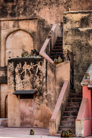 Monkey's climbing around the stairwell and exterior walls