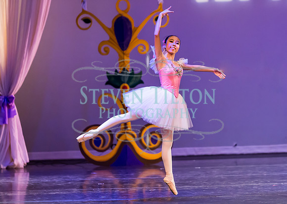 DDI - A Winter Gala