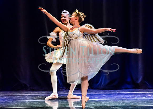 DDI - A Winter Gala