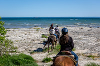 Horseback Riding