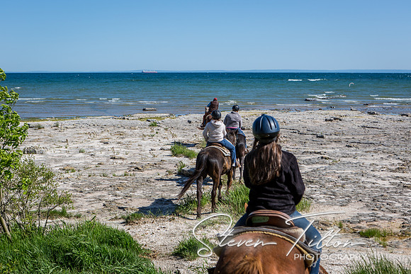 Horseback Riding