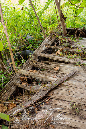 Abandoned Henderson Home