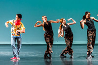 Destiny Dance - A Summer Gala