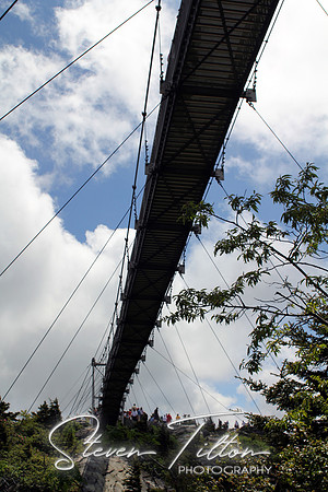 Suspended Bridge