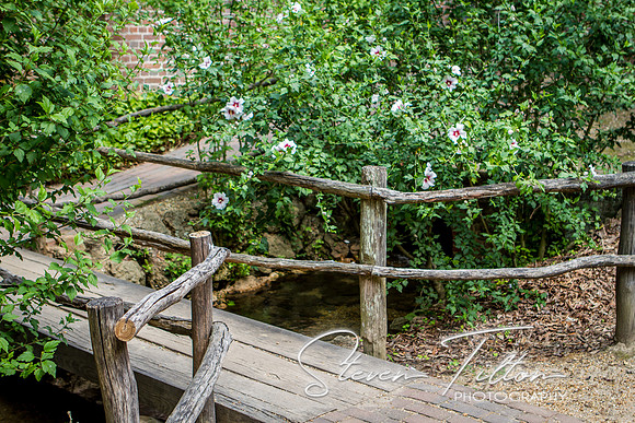 Colonial Williamsburg