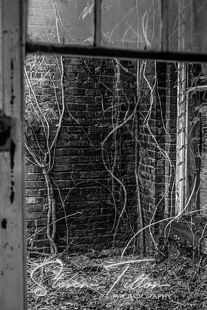 Abandoned Franklinton Factory