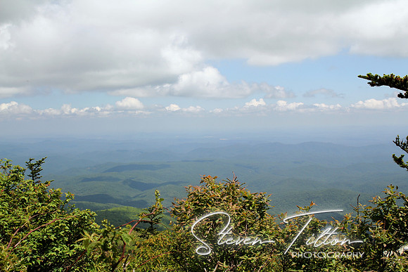Cloudy View