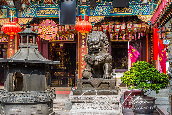 Hong Kong Travels