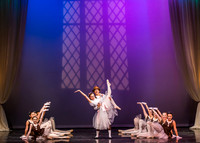 Destiny Winter Gala 2013