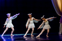 DDI Winter Gala III