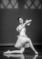 Destiny Winter Gala 2013