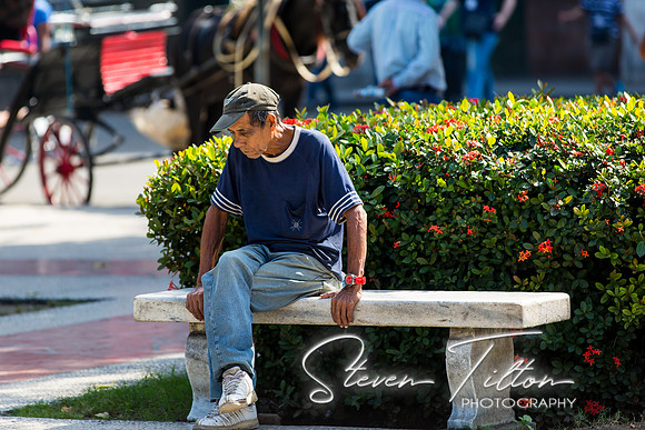 Parque Central Havana Cuba