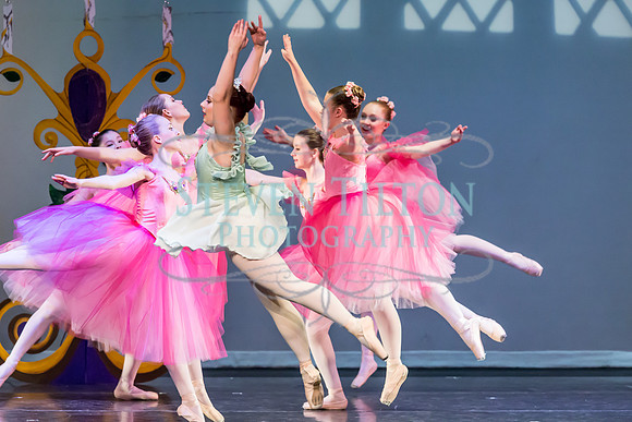 DDI Winter Gala III