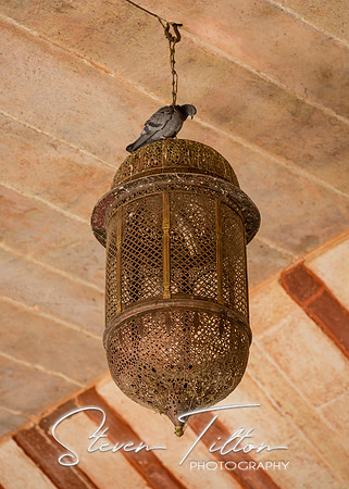 Amer Fort Hall of Public Audience