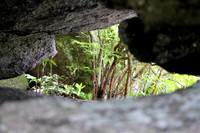 Natural Window