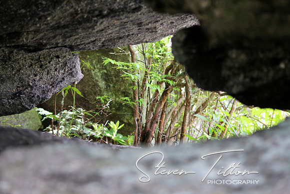 Natural Window