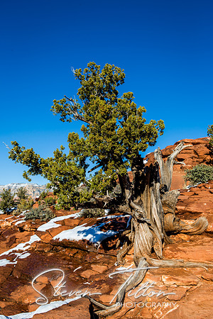 Sedona, AZ