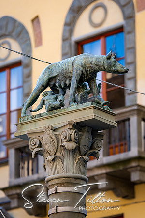 The She-Wolf of Siena