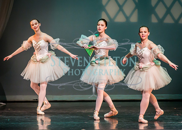Destiny Winter Gala 2013