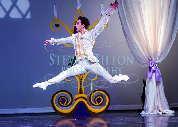 DDI - A Winter Gala