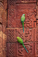 Qutab Minar
