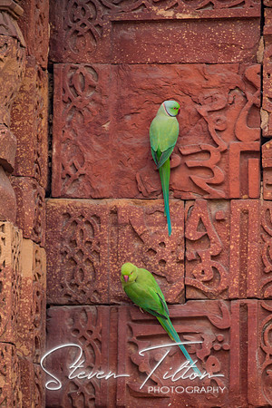 Qutab Minar
