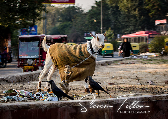 New Delhi, India