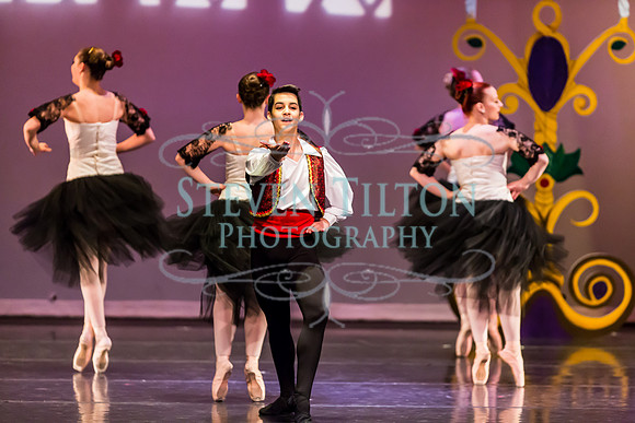 DDI - A Winter Gala