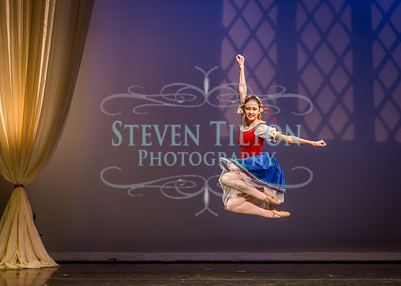 Destiny Winter Gala 2013
