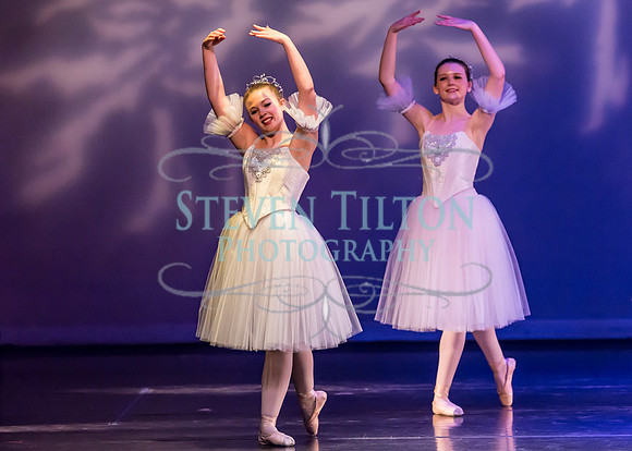 DDI Winter Gala III