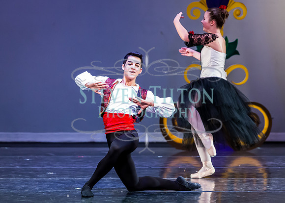 DDI - A Winter Gala