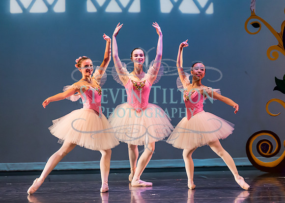 DDI - A Winter Gala