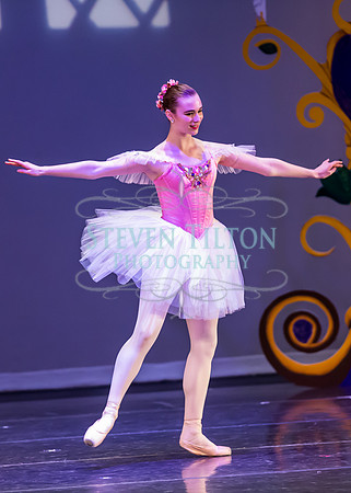 DDI - A Winter Gala