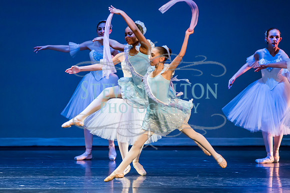 DDI Winter Gala III