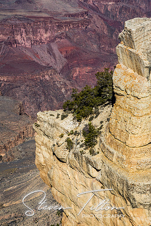 Grand Canyon Railroad